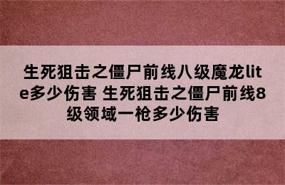 生死狙击之僵尸前线八级魔龙lite多少伤害 生死狙击之僵尸前线8级领域一枪多少伤害